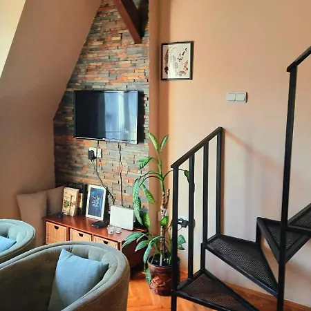 Duplex Studio Mansarda Apartment Belgrade