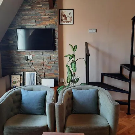 Duplex Studio Mansarda